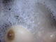 tette belle sode....