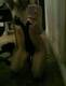 Private Photo of maeva-