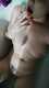 Private Photo of Kiss--