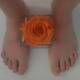Feet and rose